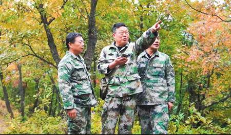 点击放大